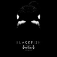 blackfish-thumb-630xauto-36453-400x278-rjuu9N.jpg